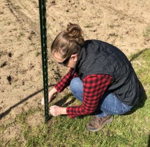 Fishing Line Deer Fence for Garden