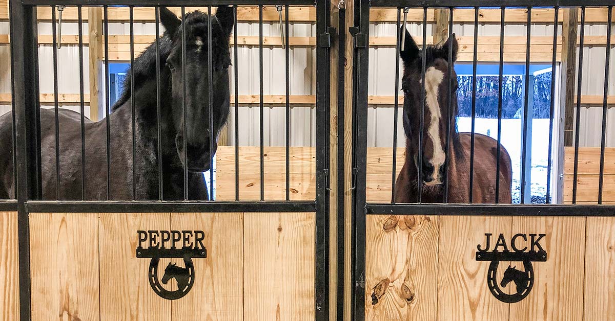 Pepper-&-Jack-Horse Stalls